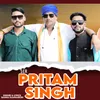 About Ser pritam singh Song